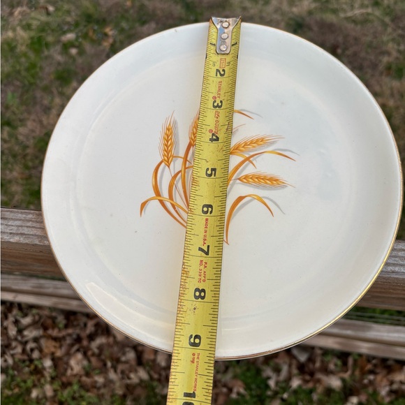 Homer Laughlin Golden Wheat Design Dinner Plates set of 4 - Picture 3 of 4